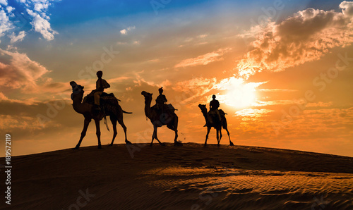 Silhouette camel caravan at sunset at Thar desert  Jaisalmer Rajasthan  India.