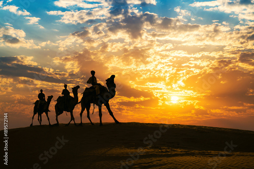 Camel caravan in silhouette at sunset at Thar desert, Jaisalmer Rajasthan, India.