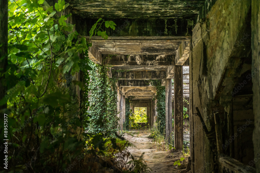 Corridor in abandoned Council of Ministers building in Sukhumi, Abkhazia Corridor in abandoned Council of Ministers building in Sukhumi, Abkhazia