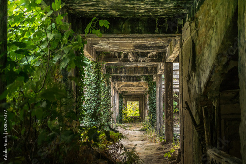 Corridor in abandoned Council of Ministers building in Sukhumi, Abkhazia