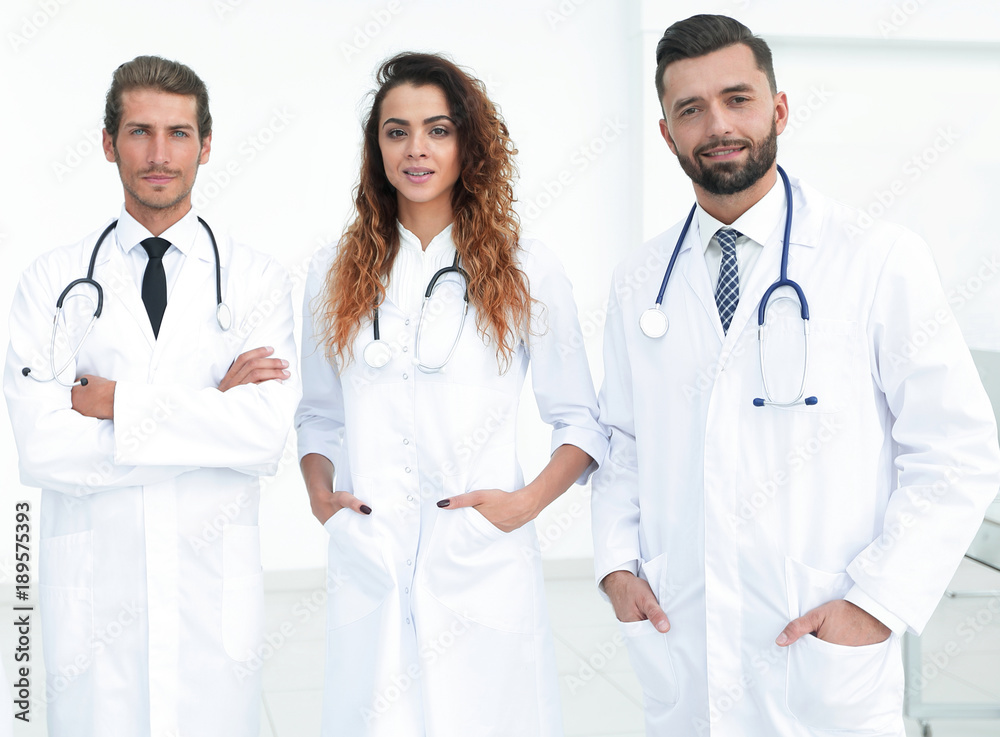 Fototapeta premium Portrait of a group of hospital colleagues