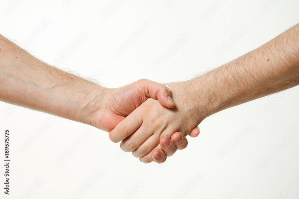 handshake of two men. hands without clothes.