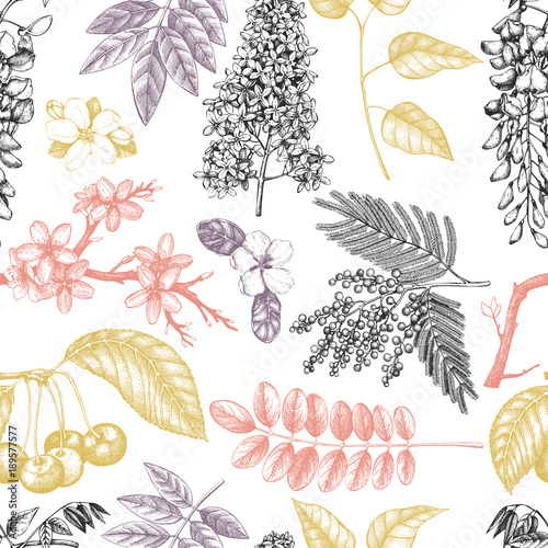 Vector background with hand drawn blossoming trees illustration. Spring flowers sketch collection. Floral seamless pattern
