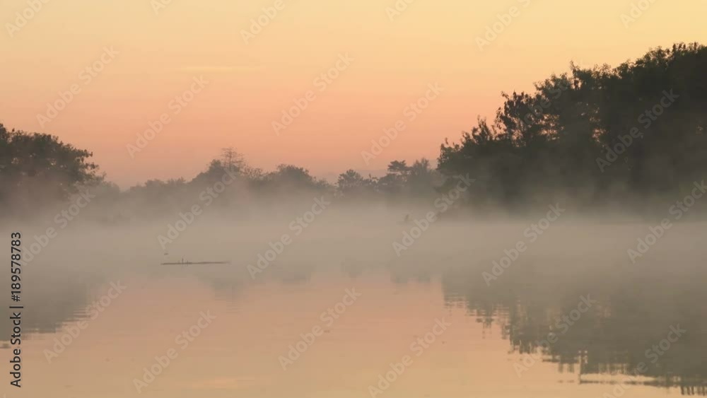 Fog with golden sun light on the lake. Fog with golden sun light on the lake.