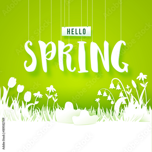 Hello Spring text with meadow with flowers on green background. Grass  tulips and chamomiles cut out from white paper. Vector illustration. Season banner with place for your text. Paper art. Vector