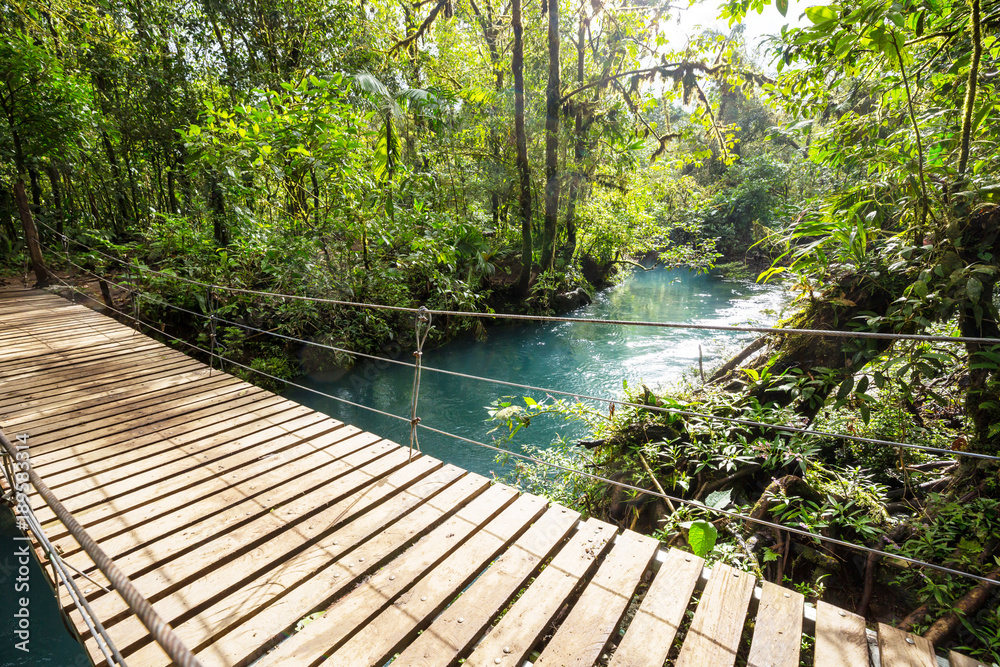 Bridge in Costa Rica Bridge in Costa Rica