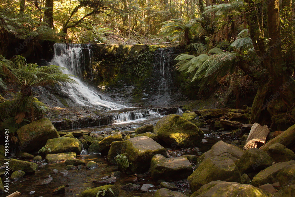 Obraz premium Horseshoe Falls in Mount Field National Park on Tasmania 