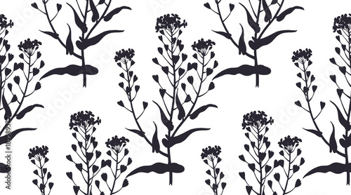Seamless pattern with medical herbs.