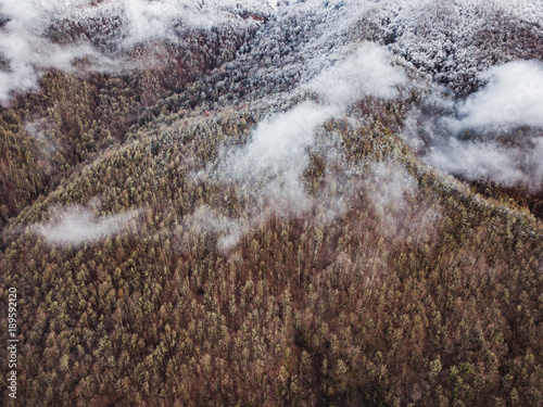 aerial view of the clouds above the mountain forest