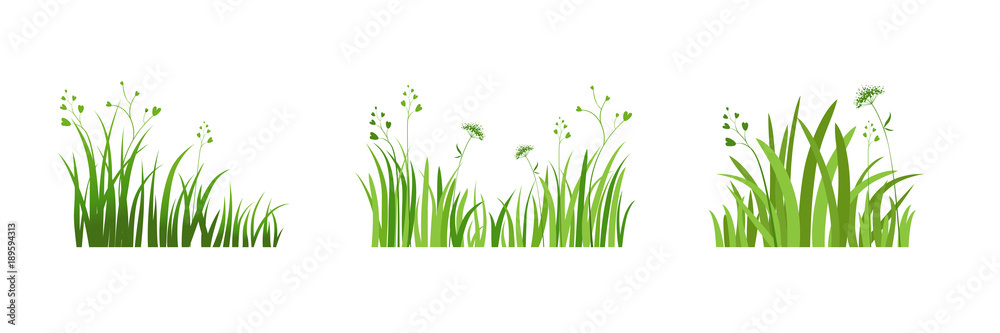 Eco green element