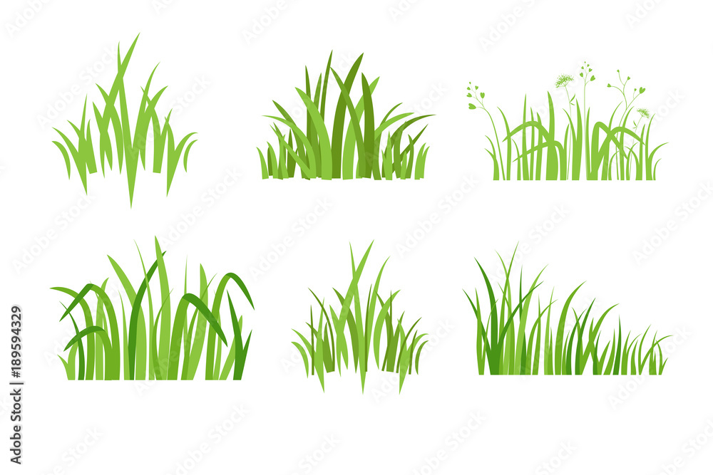 Set Eco green grass icon Set Eco green grass icon