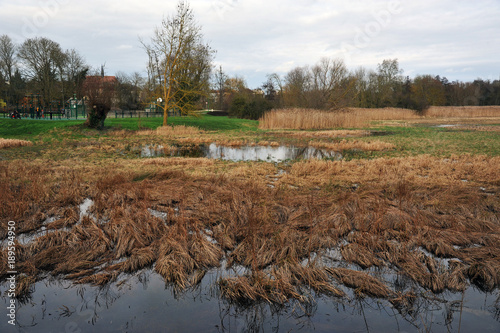 paysage de campagne photo