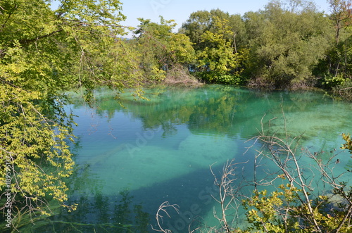 Fototapeta Naklejka Na Ścianę i Meble -  Türkises klares Wasser Plitvicer Seen National Park