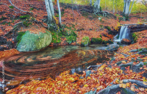 Fototapeta Naklejka Na Ścianę i Meble -  rapid mountain river in autumn.