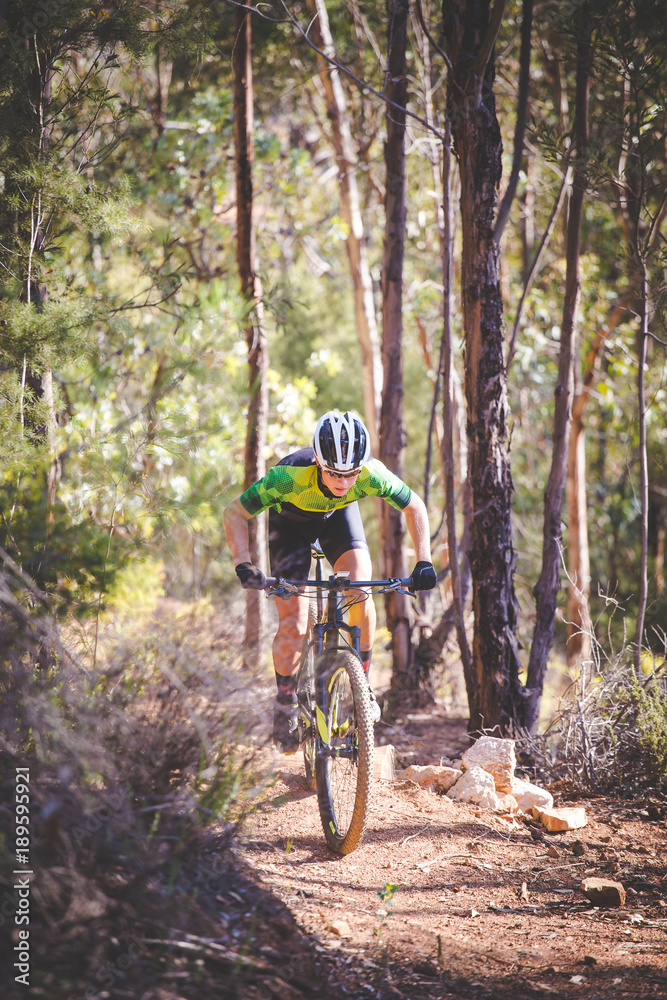 Wide angle view of a mountain biker speeding downhill on a mountain bike track in the woods