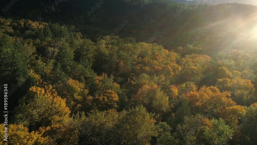 Drone Panning to Sun Flare Over Colorful Pacific Northwest Forest in Fall Season