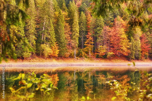 Forest of colorful autumn trees reflecting in lake