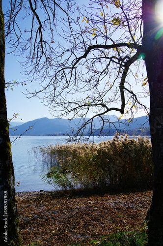 Fototapeta Naklejka Na Ścianę i Meble -  See mit Berge im Hintergrund und Schilfgras im Vordergrund
