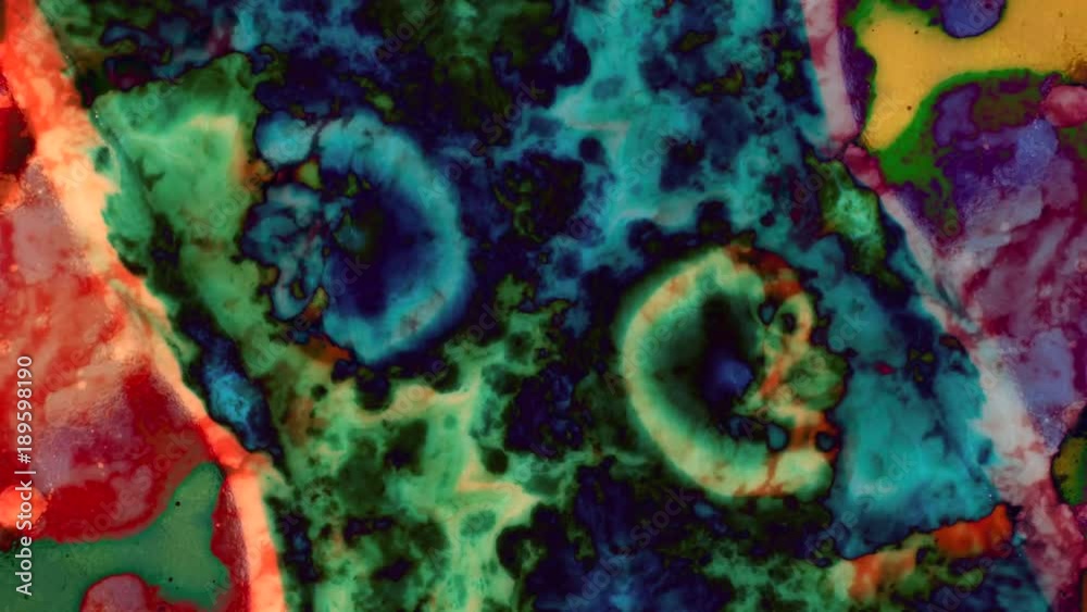  Kaleidoscope of Colors . Abstract Patterns