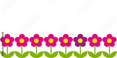 blumen reihe pink und lila