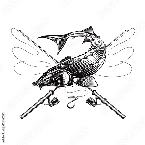 Sturgeon fish bend silhouette with crossed fishing rod in engrving style. Logo for fishing, championship and sport club on white