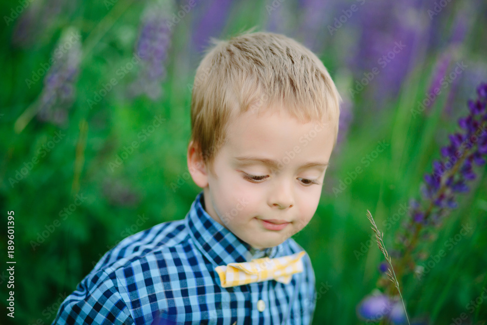 Portrait of handsome smiling and happy caucasian boy with flower, lupine, summer, in backgrounds green grass.. Portrait of handsome smiling and happy caucasian boy with flower, lupine, summer, in backgrounds green grass..