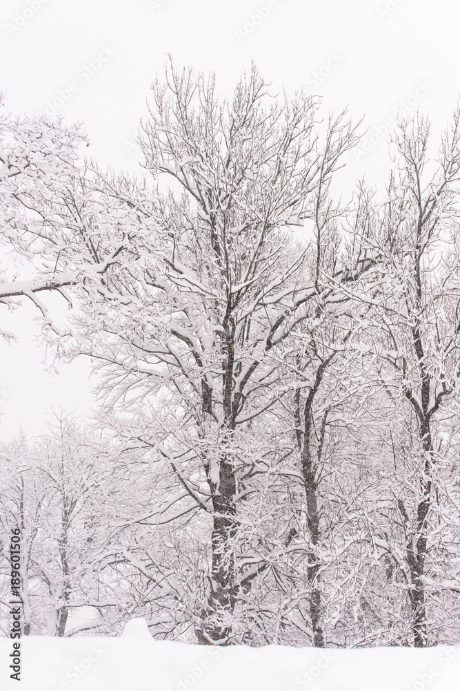 Brunico under a heavy snowfall Brunico under a heavy snowfall