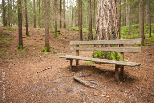 wooden bench inside a forest, no people around