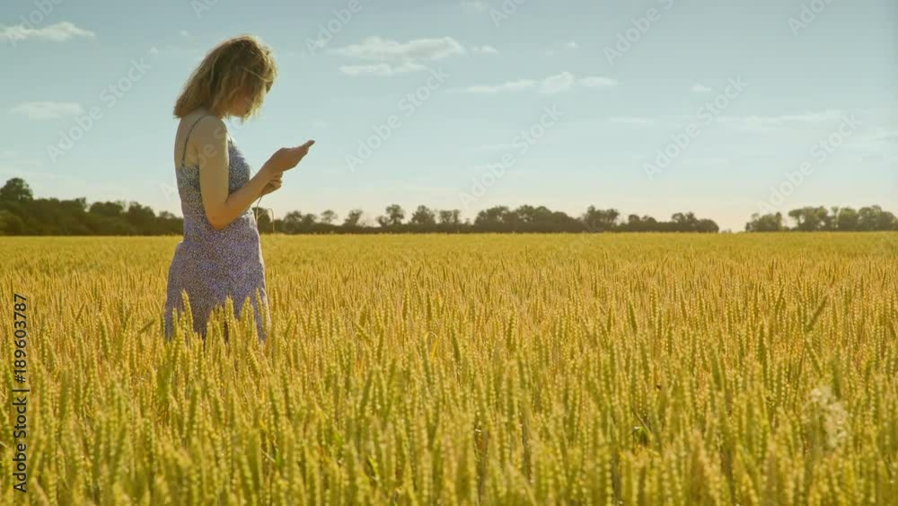 Female agronomist looking wheat ears. Woman biologist looking at wheat stalk. Woman farmer inspecting wheat field. Agricultural scientist examining wheat harvest Female agronomist looking wheat ears. Woman biologist looking at wheat stalk. Woman farmer inspecting wheat field. Agricultural scientist examining wheat harvest
