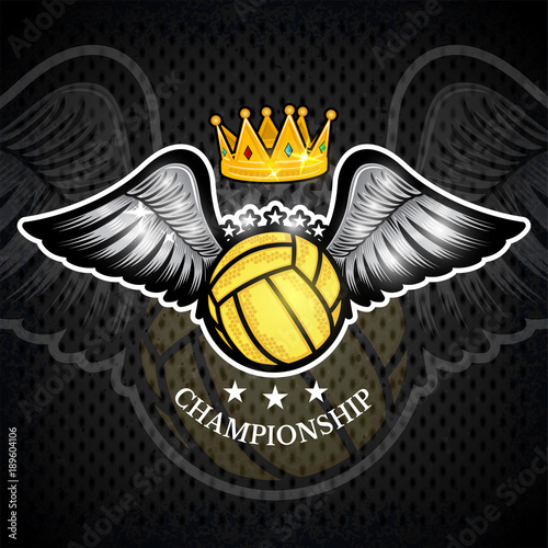 Water polo ball with wings and crown on blackboard. Vector sport logo for any team and championship