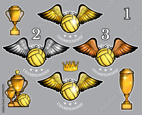 Water polo ball with wings cups and crown. Vector set of sport logo for any team and championship