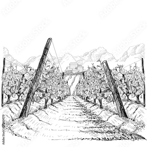 Vineyard landscape with clouds and building on the hill. Hand drawn sketch vector illustration on white