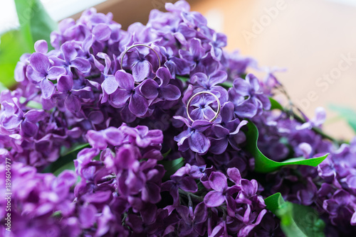 Two wedding golden rings lie on the flowers of purple lilac. Wedding details