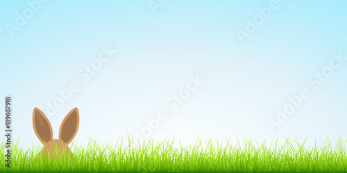 Easter Bunny Hiding In Meadow Banner Sky