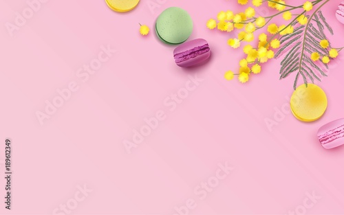 Colorful macaroons and mimosa branch on pink background. Vector illustration