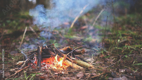 Bonfire in the forest