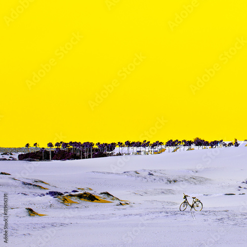 Desert. Canary Islands. Surreal location. Minimal fashion mood photo