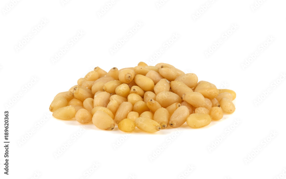 pine nuts isolated on white background pine nuts isolated on white background