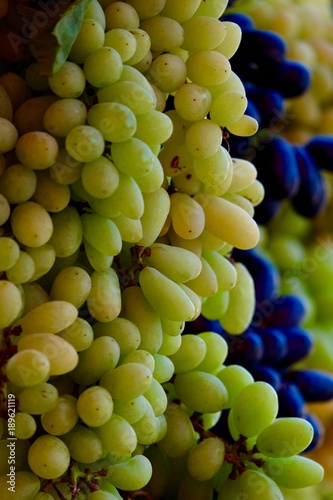 bunch of black and green grapes in the market