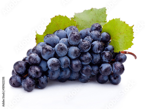Wet bunch of blue grapes with leaves isolated on white background