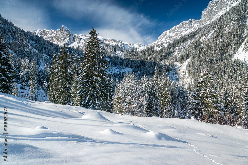 Schneeschuhwandern im Diemtigtal, Berner Oberland