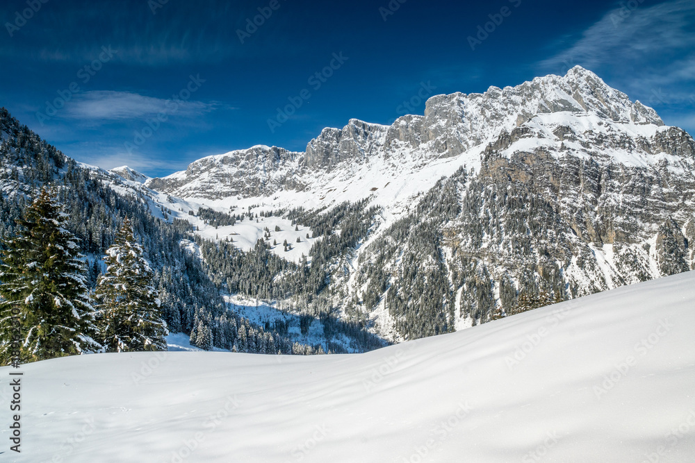 Obraz premium Schneeschuhwandern im Diemtigtal, Berner Oberland