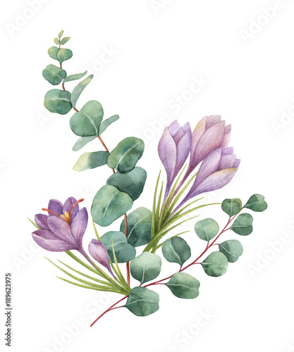 Watercolor vector bouquet with green eucalyptus leaves and flowers of saffron.
