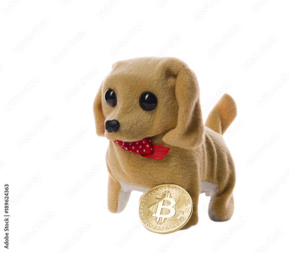 Cute toy-puppy and a golden bitcoin shot on white Cute toy-puppy and a golden bitcoin shot on white