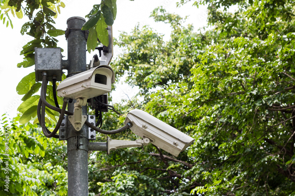 CCTV security camera, in the park with tree background CCTV security camera, in the park with tree background