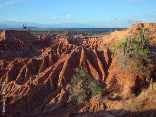 The Martian landscape of Cuzco, the Red Desert, part of Colombia's Tatacoa Desert. The area is an ancient dried forest and popular tourist destination. © James