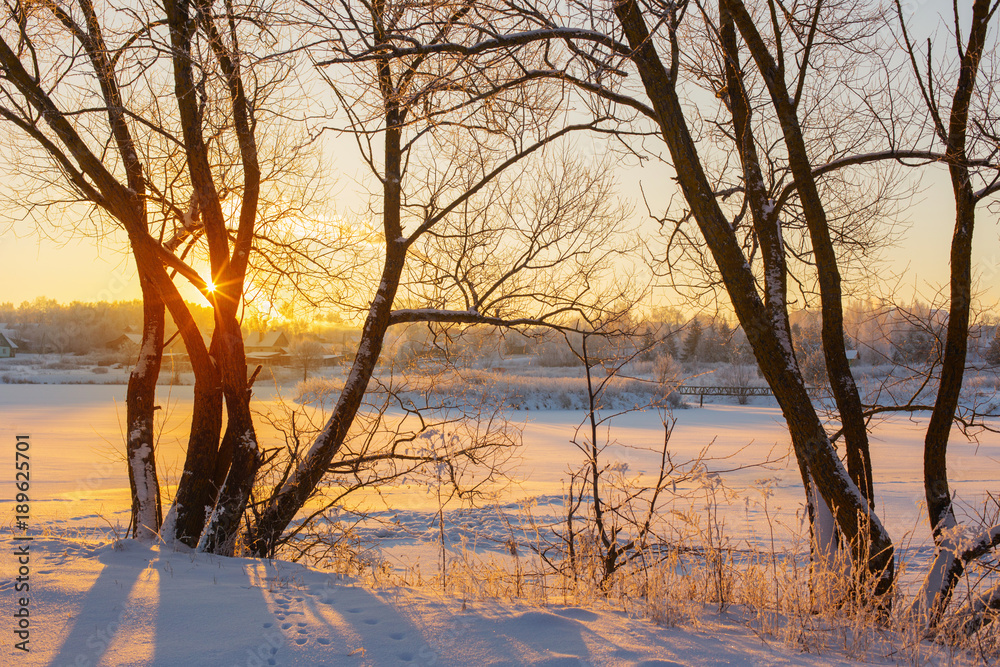 winter morning with snow and frost winter morning with snow and frost
