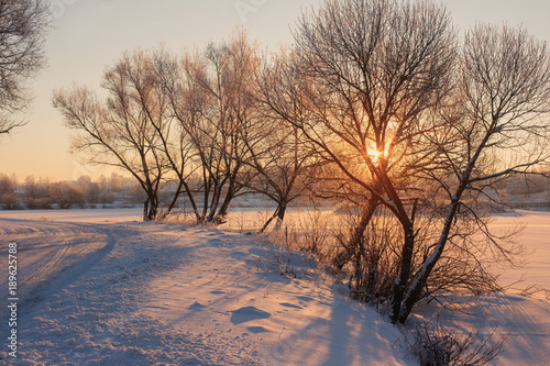 winter morning with snow and frost © Maya Kruchancova