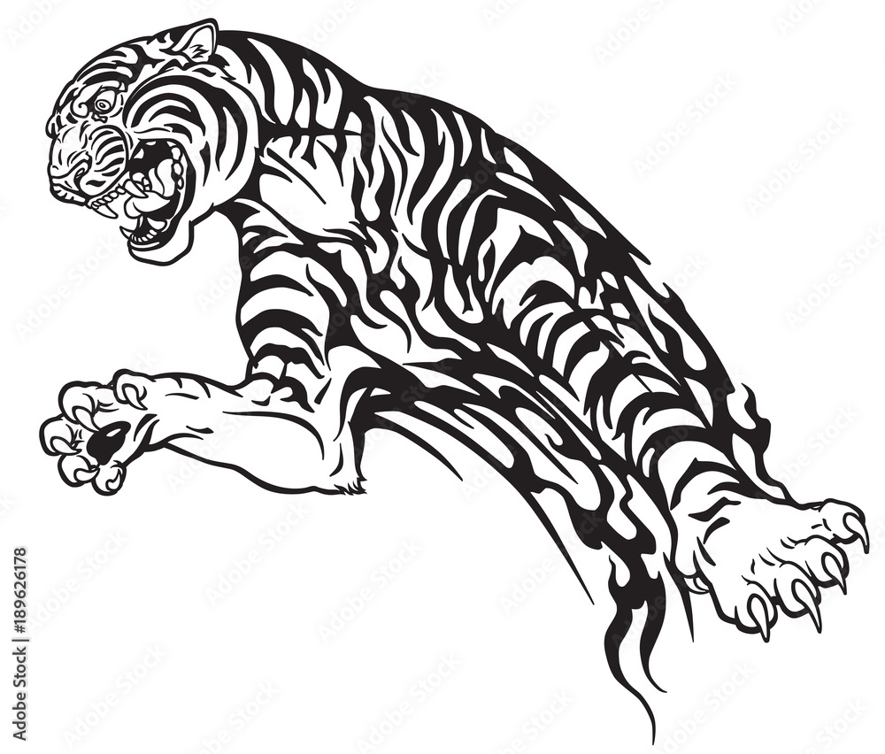tiger in the jump. Aggressive big cat . Black and white tribal tattoo style  vector illustration Векторный объект Stock | Adobe Stock