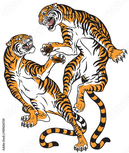 pair of tigers in the battle . Two fighting big cats . Tattoo style vector isolated illustration 